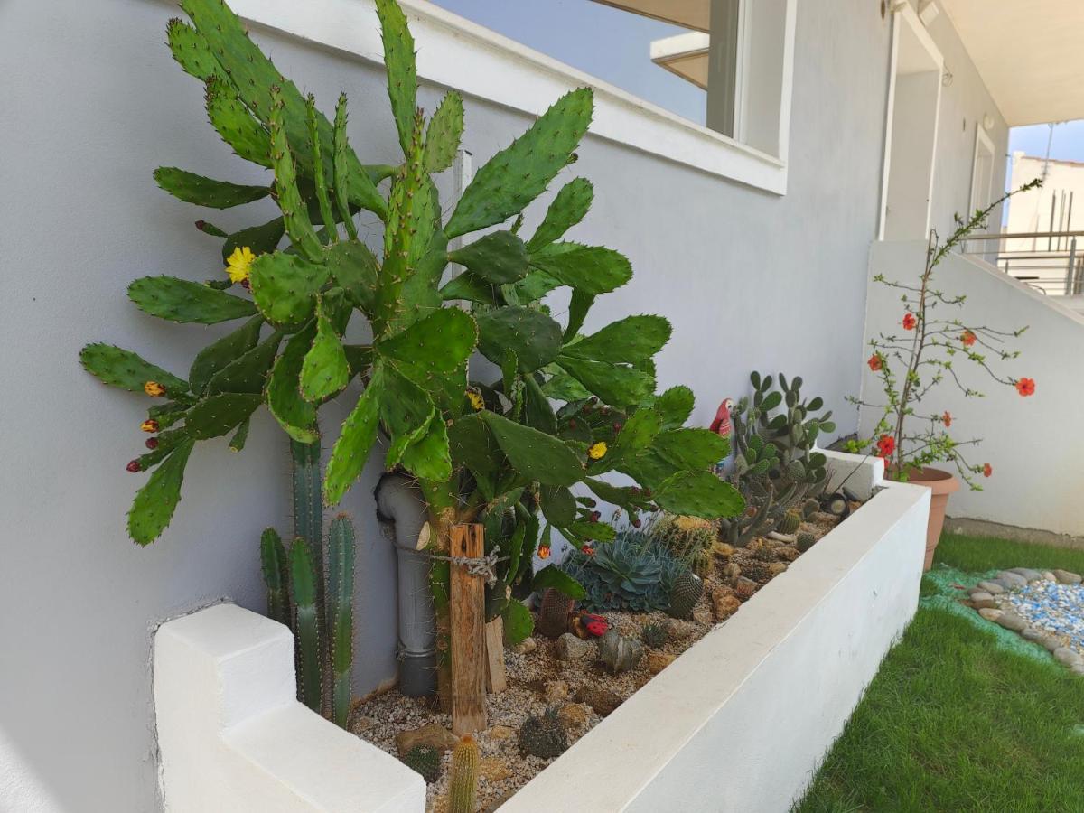 Apartment Stellina's New 5min From Souda